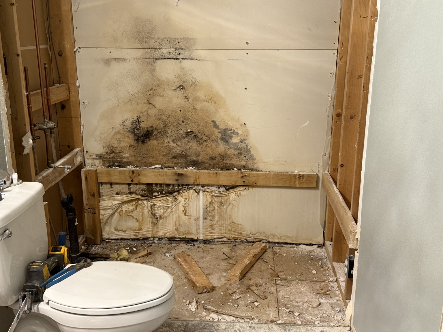 Bathroom demo showing mold damage discovered during renovation